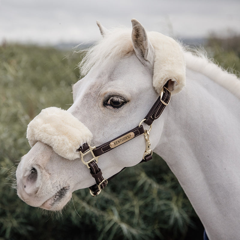 Kentucky Horsewear Brown Leather Sheepskin Pony Headcollar