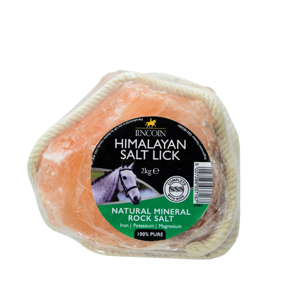 Lincoln Himalayan Salt Lick