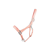 Little Rider Serena Leather Headcollar Pink