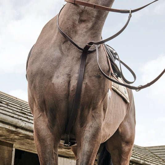 Whitaker MA054 Ready to Ride Martingale