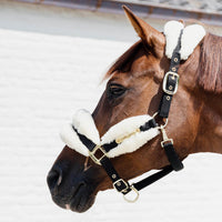 Kentucky Horsewear Nylon Sheepskin Headcollar