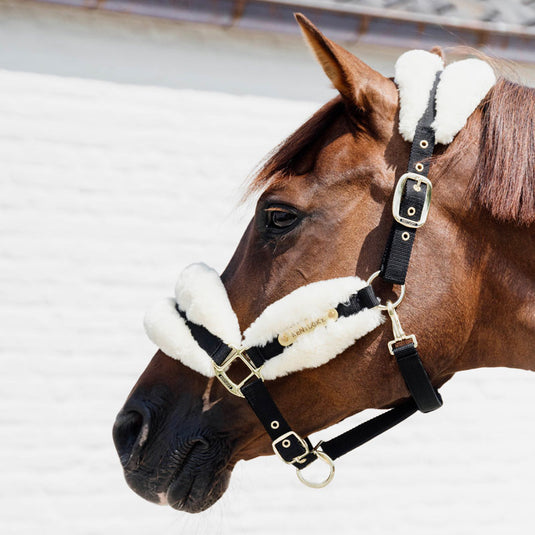 Kentucky Horsewear Nylon Sheepskin Headcollar