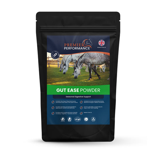 Premier Performance Gut Ease Powder