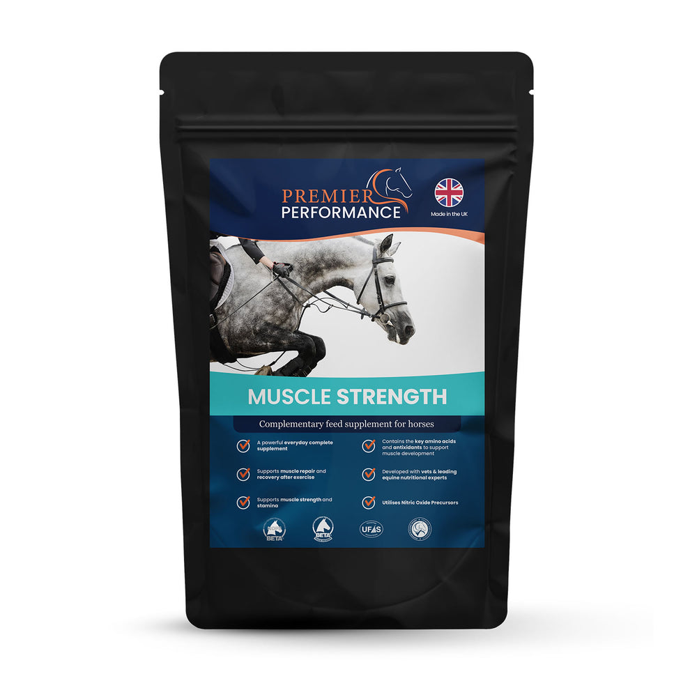 Premier Performance Muscle Strength