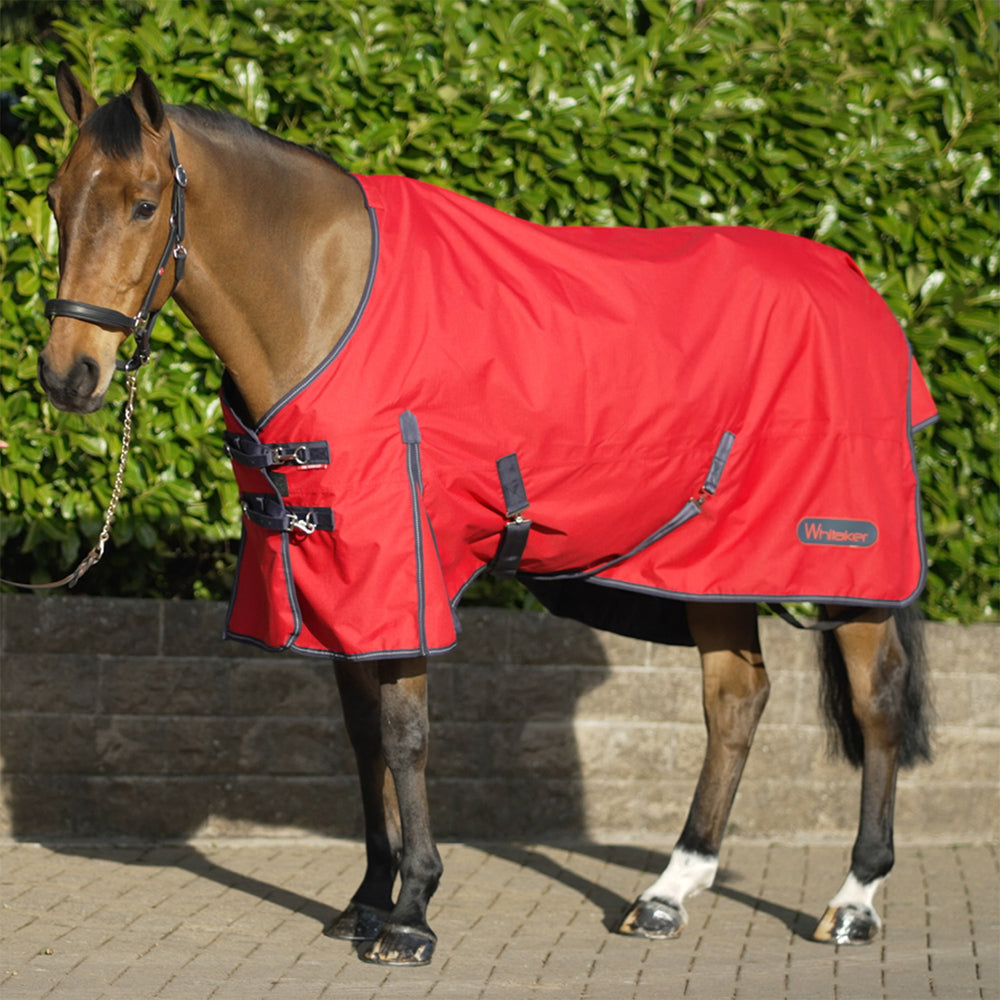 Whitaker R189S Rastrick 0g Lightweight Turnout Rug