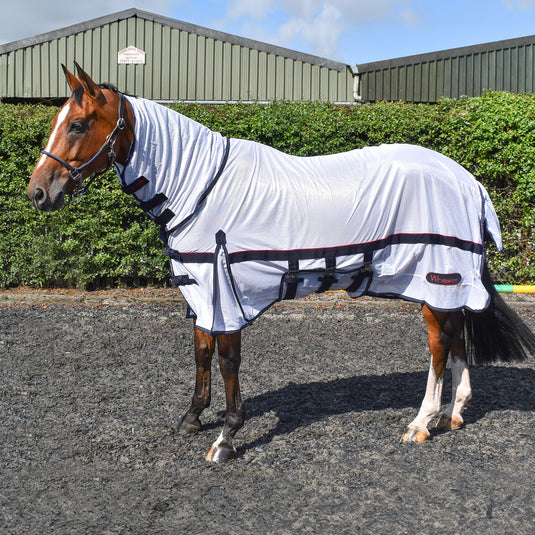 Whitaker R202 Rastrick Fly Mesh with Fixed Hood