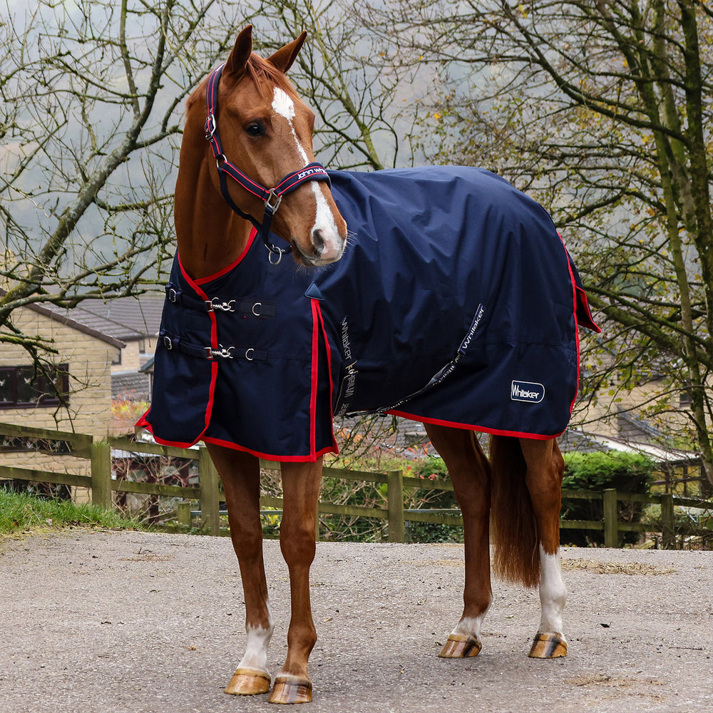 Whitaker R443 Rastrick V2 100g Turnout Rug