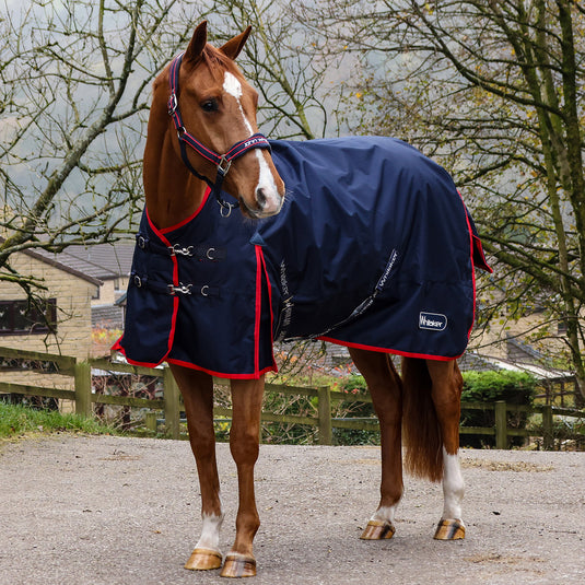 Whitaker R443 Rastrick V2 100g Turnout Rug