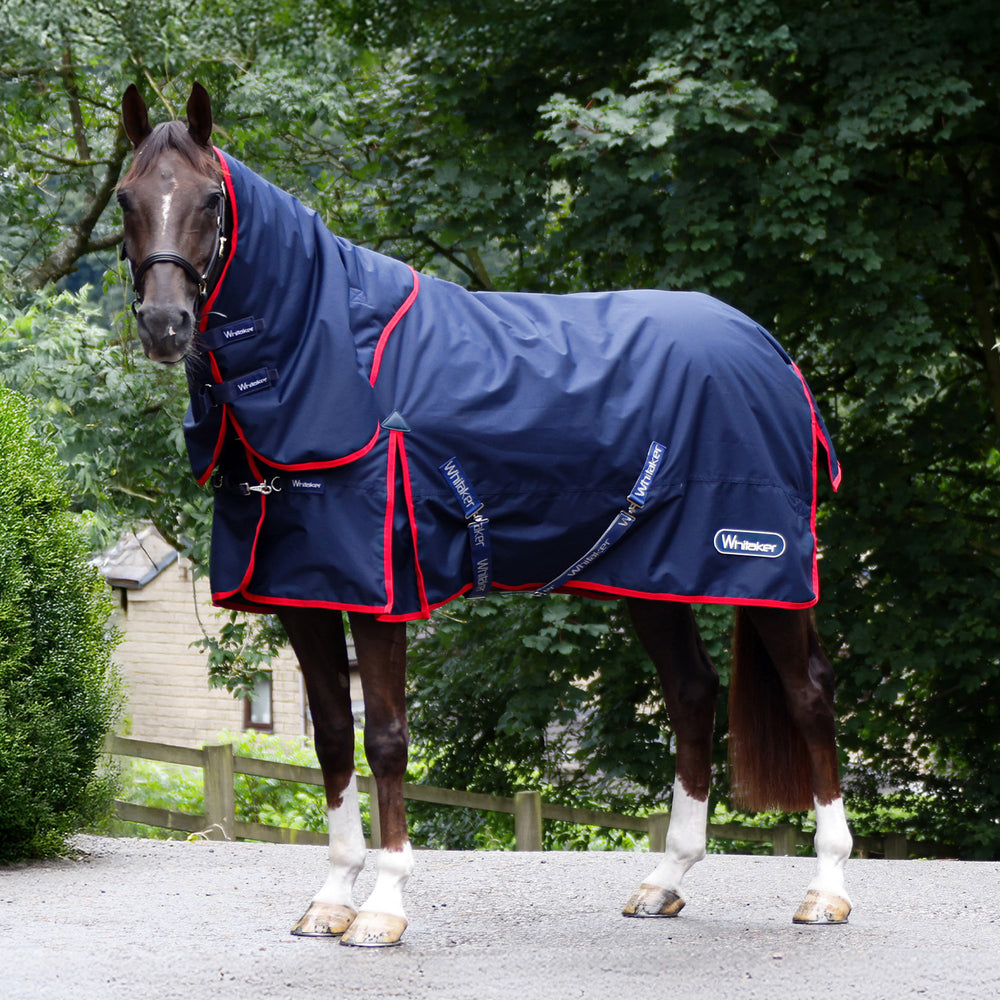 Whitaker R444 Rastrick V2 250g Combo Turnout Rug