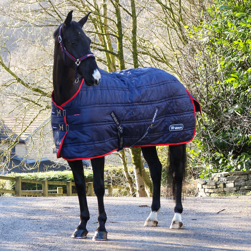 Whitaker R450 Rastrick V2 100g Stable Rug