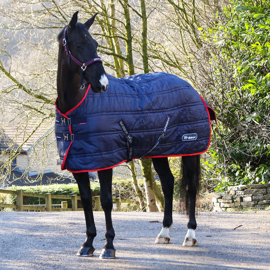 Whitaker R450 Rastrick V2 100g Stable Rug