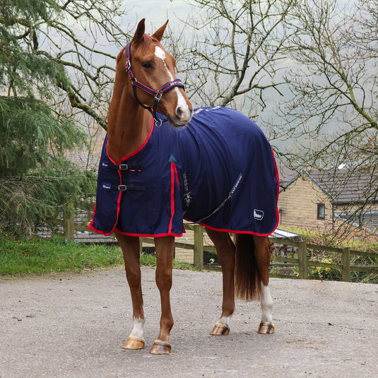 Whitaker R471 Rastrick V2 Stable Sheet