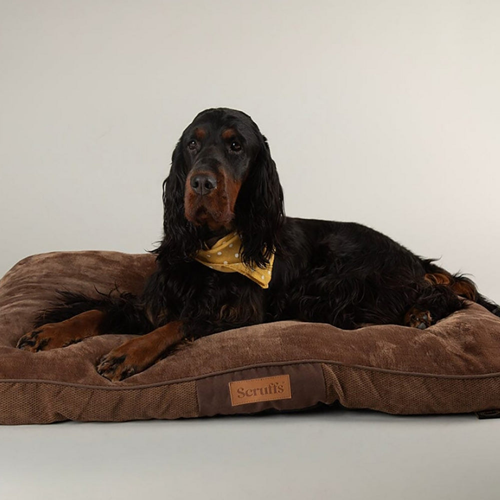 Scruffs Chester Mattress Chocolate