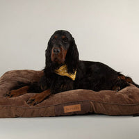 Scruffs Chester Mattress Chocolate