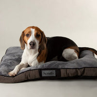 Scruffs Chester Mattress Chocolate