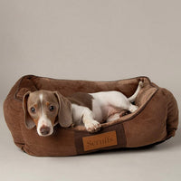 Scruffs Chester Box Bed Chocolate