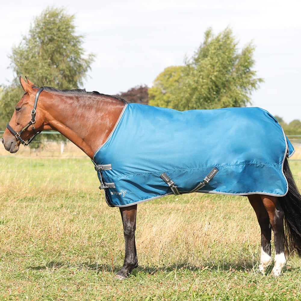 Stormx Empra 50G Turnout Rug Teal