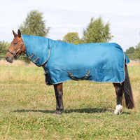 Stormx Empra 50G Combi Turnout Rug Teal