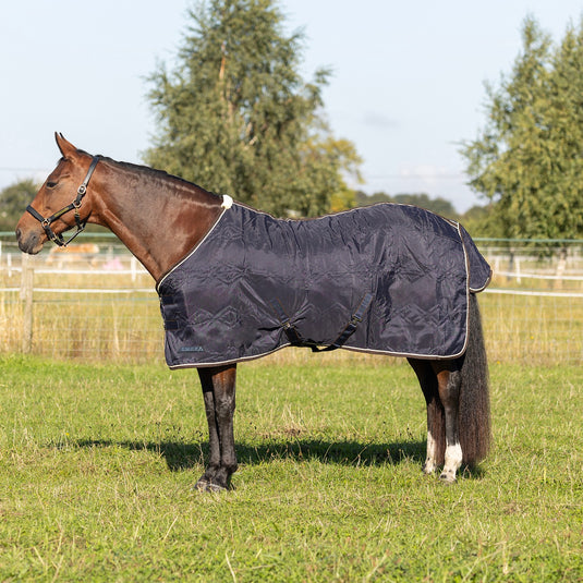 Stormx Empra Luxury Show Rug Navy/Cream