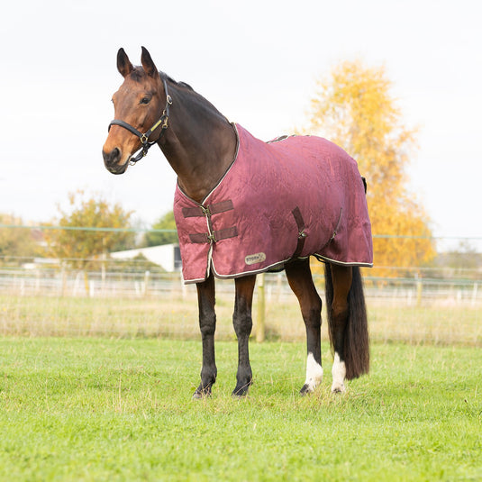 Stormx Empra Luxury Show Rug Burgundy/Cream