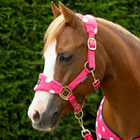 Supreme Products Dotty Fleece Headcollar/Lead Rope Pink