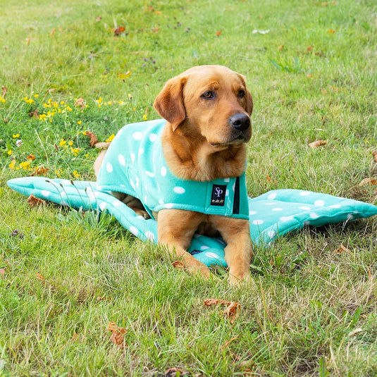 Supreme Products Dotty Fleece Dog Bed Gorgeous Green