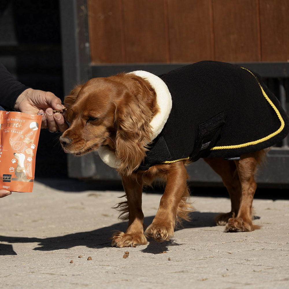 Supreme Products Royal Occasion Fleece Dog Coat Black