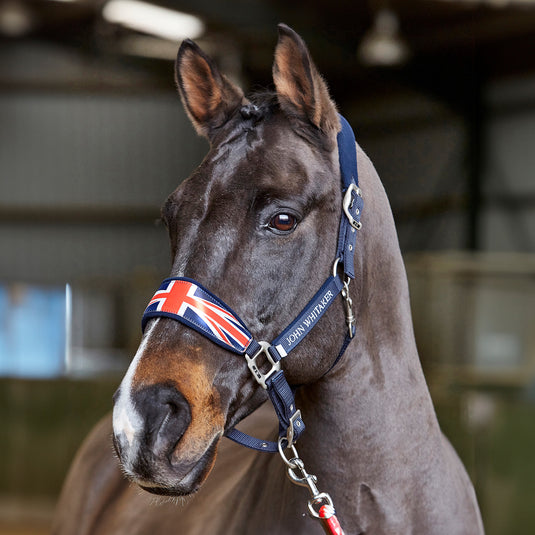 Whitaker UJHCP Union Jack Padded Headcollar