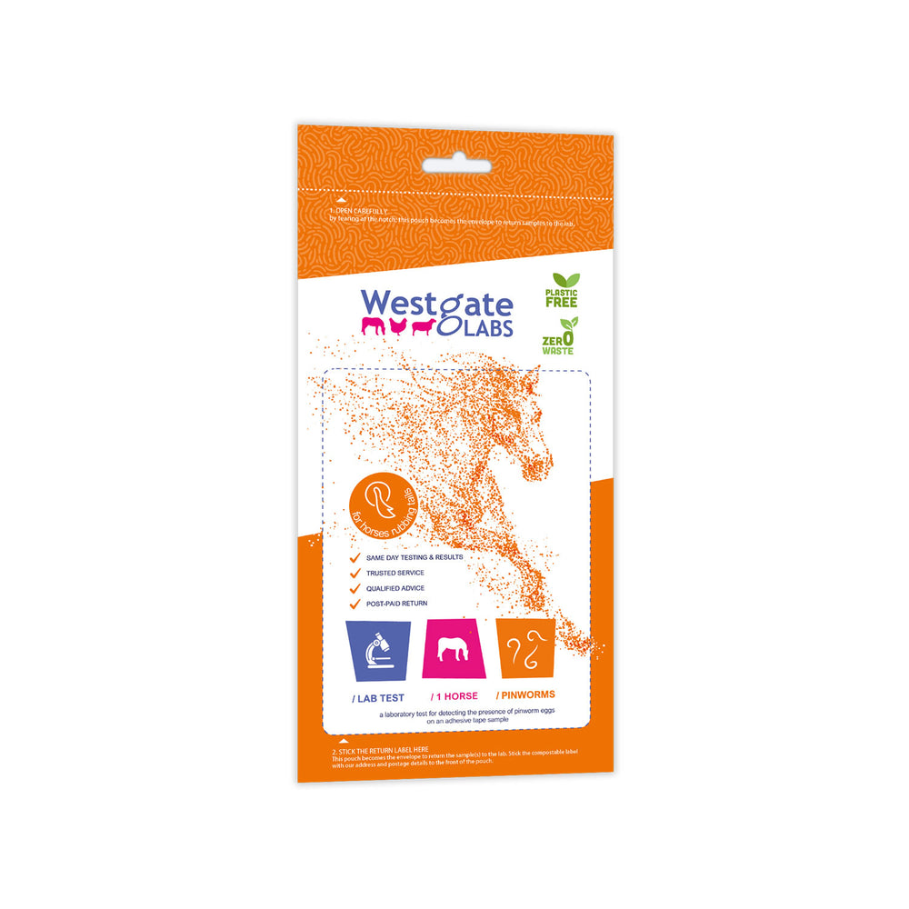 Westgate Laboratories Pinworm Test Kit