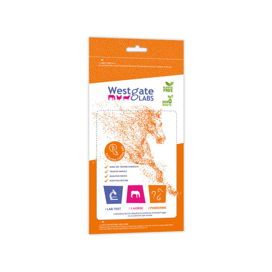 Westgate Laboratories Pinworm Test Kit