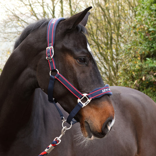 Whitaker WHCS Airflow Headcollar with Lead Rope Set