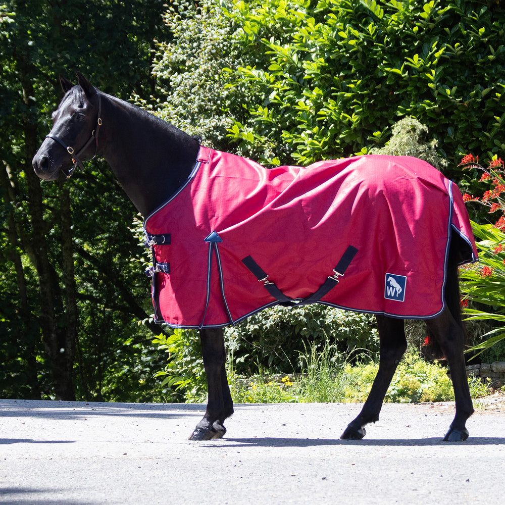 Whitaker 0g Turnout Rug