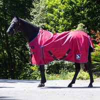 Whitaker 0g Turnout Rug