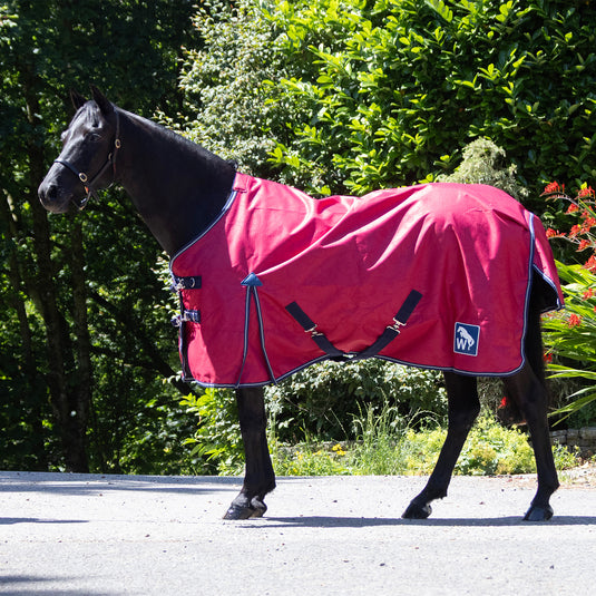 Whitaker 0g Turnout Rug