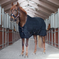 Classic Primary Stable Rug, 400g