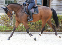 Kentucky Horsewear Brushing Boots Leather