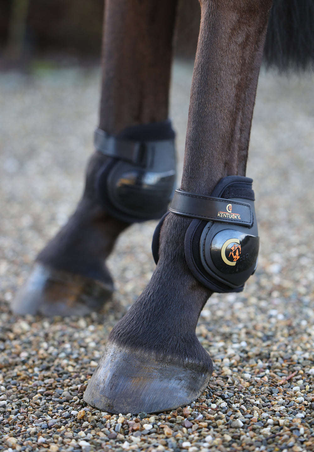 Kentucky Horsewear Moonboots Black