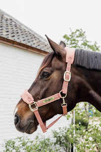 Kentucky Horsewear Teddy Fleece Headcollar/Halter