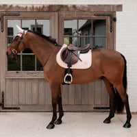 Kentucky Horsewear Sparkling Jumping numnah/saddle pad