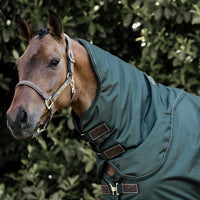 Neck all weather waterproof pro 0 gram large