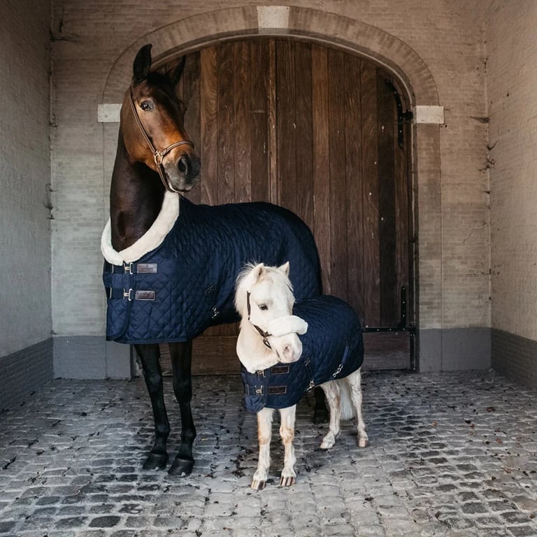 Kentucky Horsewear Pony Show rug