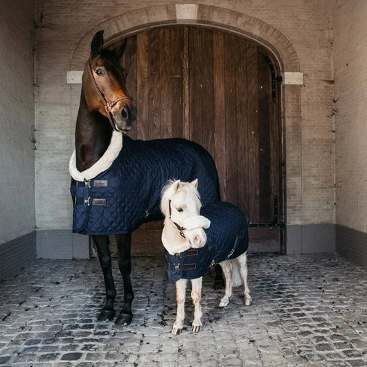 Show rug 125-5'9