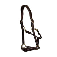 Leather anatomic halter black Cob