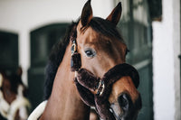 Kentucky Horsewear Sheepskin Shipping/travel Headcollar