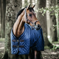 Stable rug 125-5'9