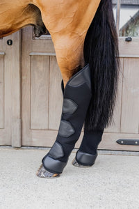 Kentucky Horsewear 3D spacer Travel Boots hind