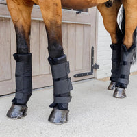 Stable boots PROtect classic hind black size L