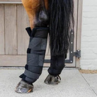 Stable boots PROtect classic hind black size L