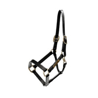 Leather halter Wellington black cob