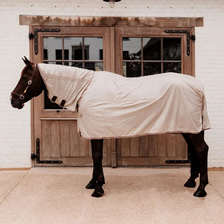 Kentucky Horsewear Mesh fly rug comfort classic with neck & belly cover
